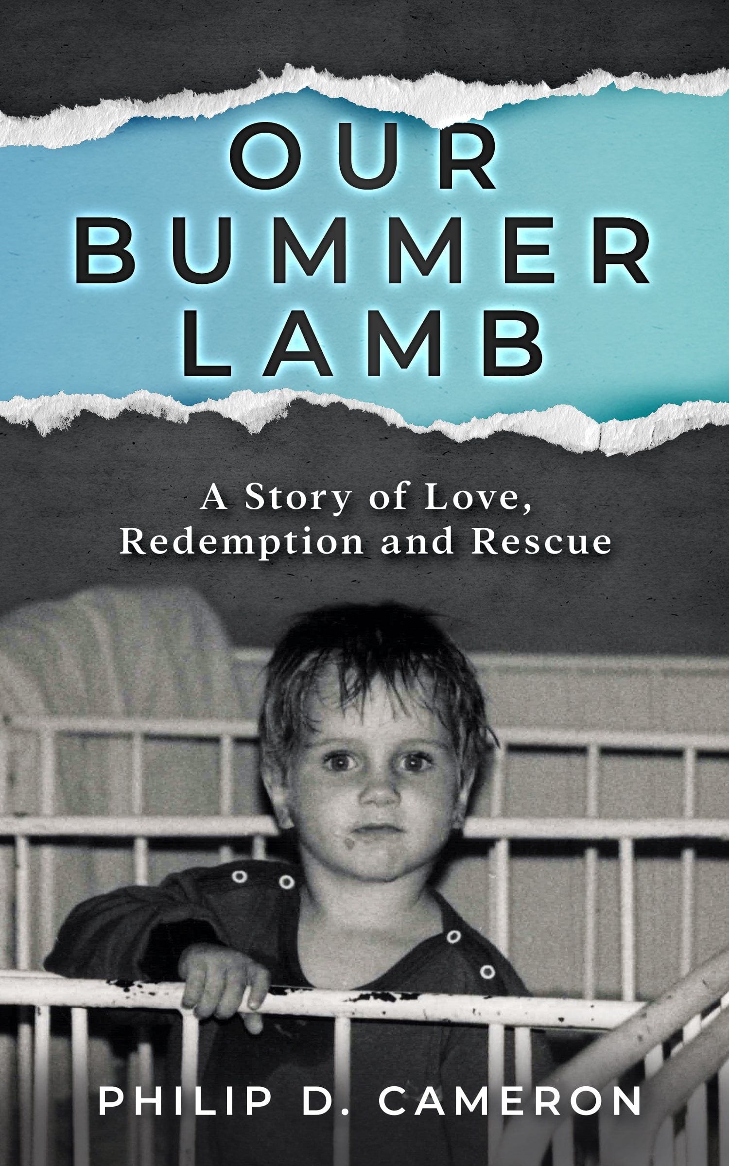 Our Bummer Lamb book cover